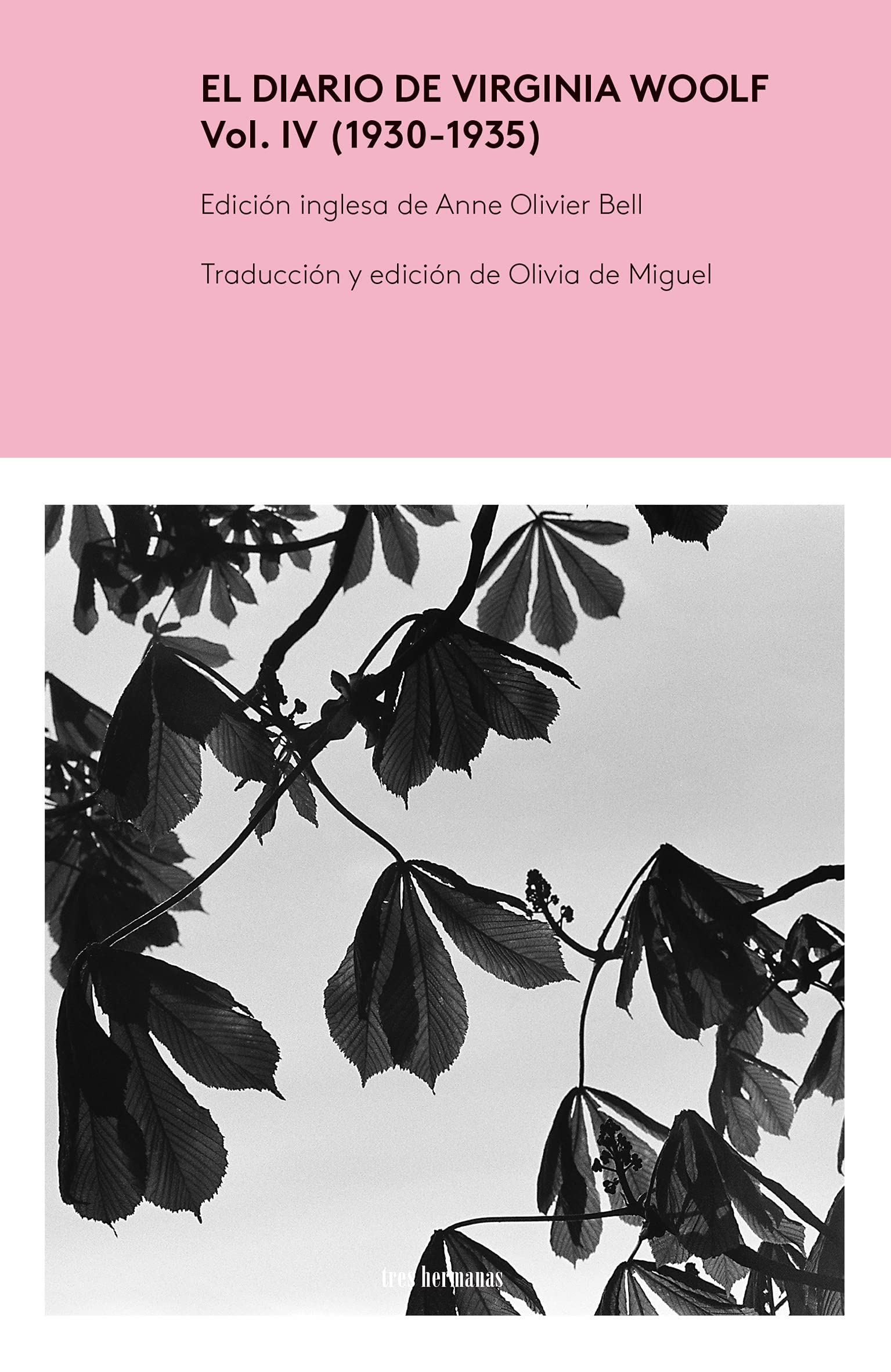 El Diario de Virginia Woolf, Vol. IV Essays & Short Stories