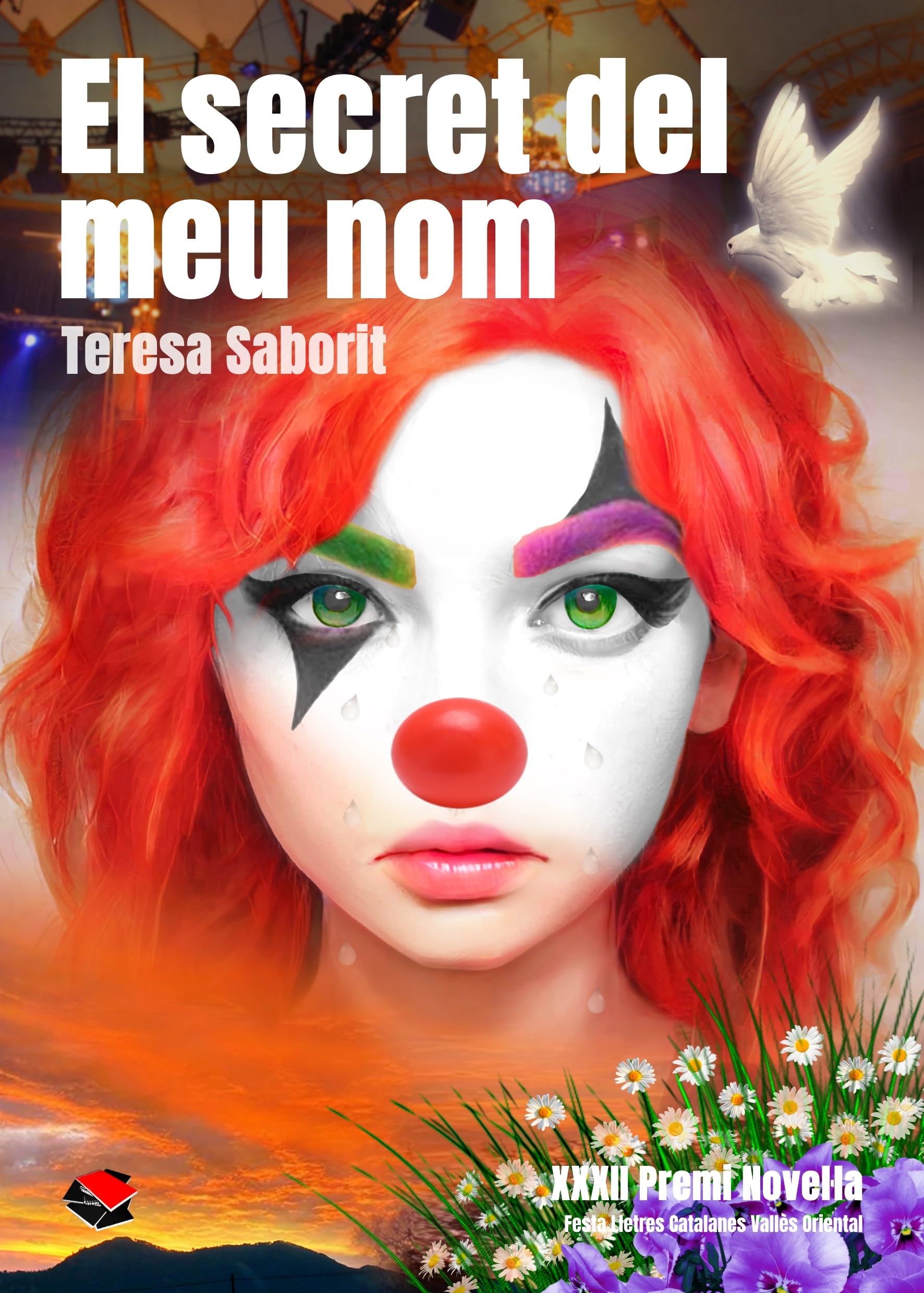 El secret del meu nom Contemporary literature