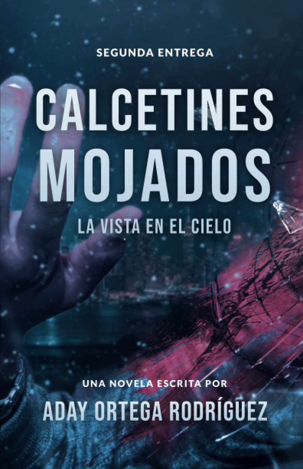 La vista en el cielo (Calcetines Mojados, Band 2) Contemporary literature