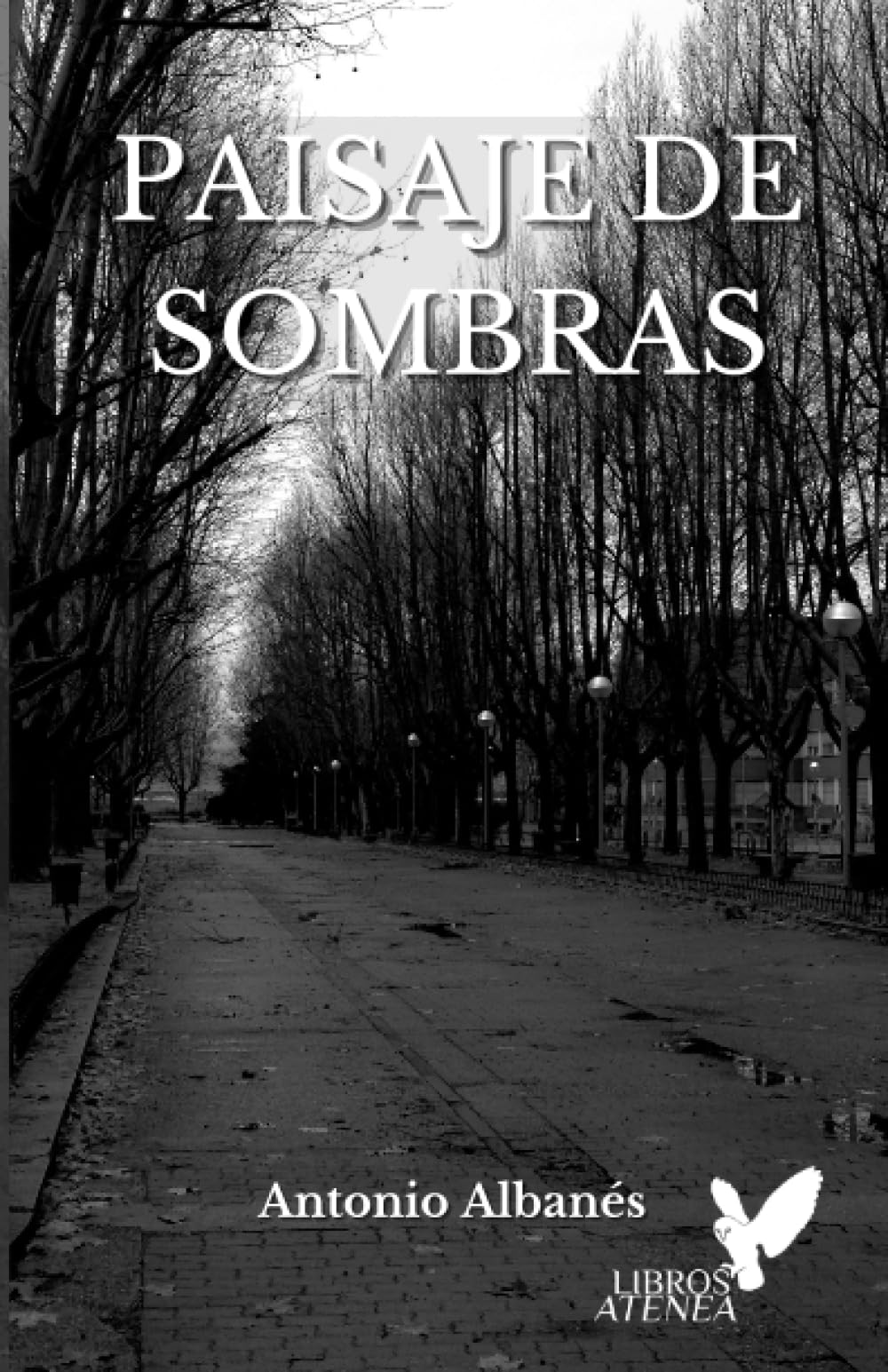 Paisaje de sombras Contemporary literature