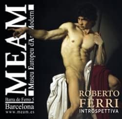 Roberto Ferri, Introspettiva Film, Art & Culture