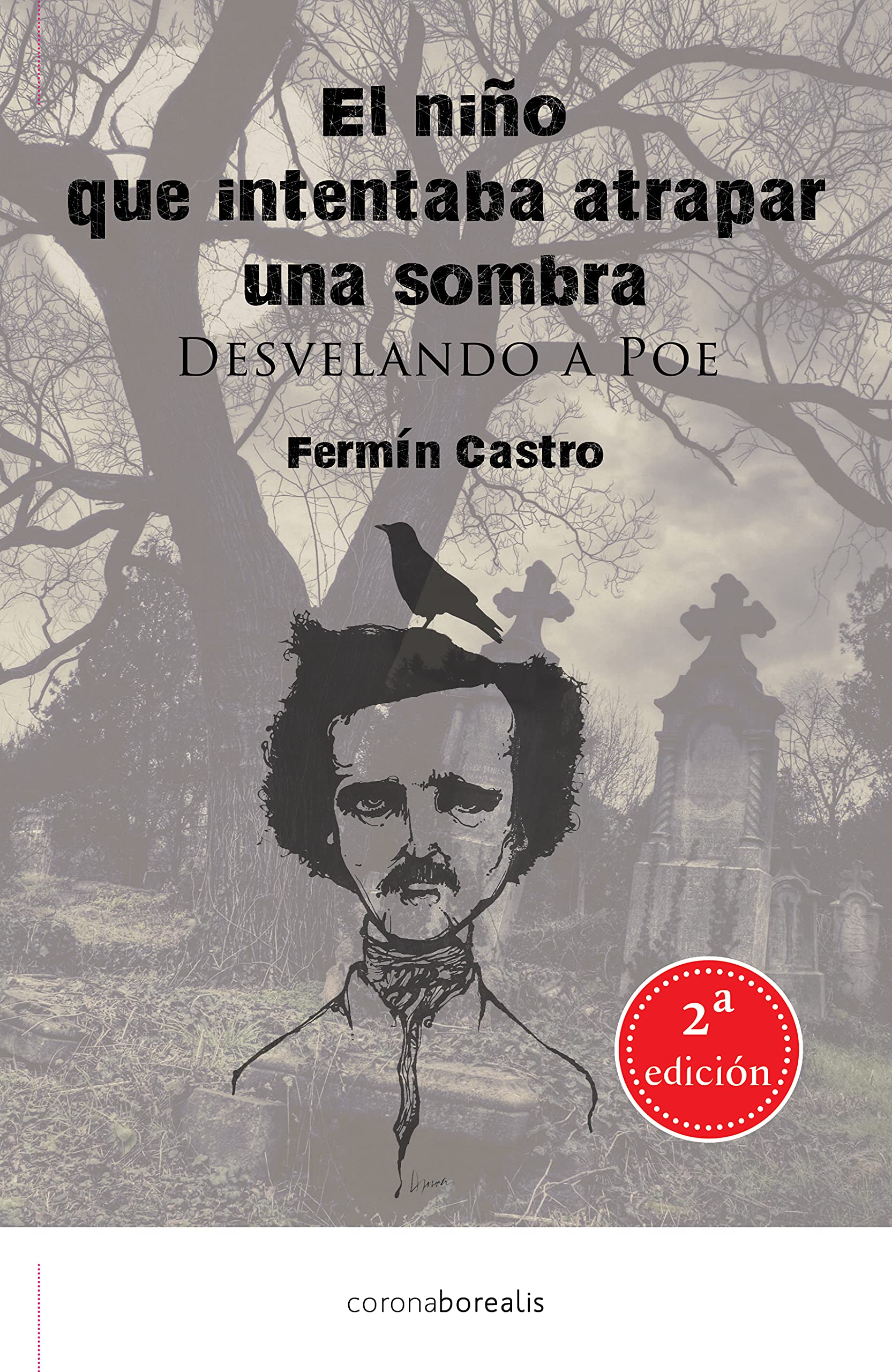 El niño que intentaba atrapar una sombra: Desvelando a Poe book