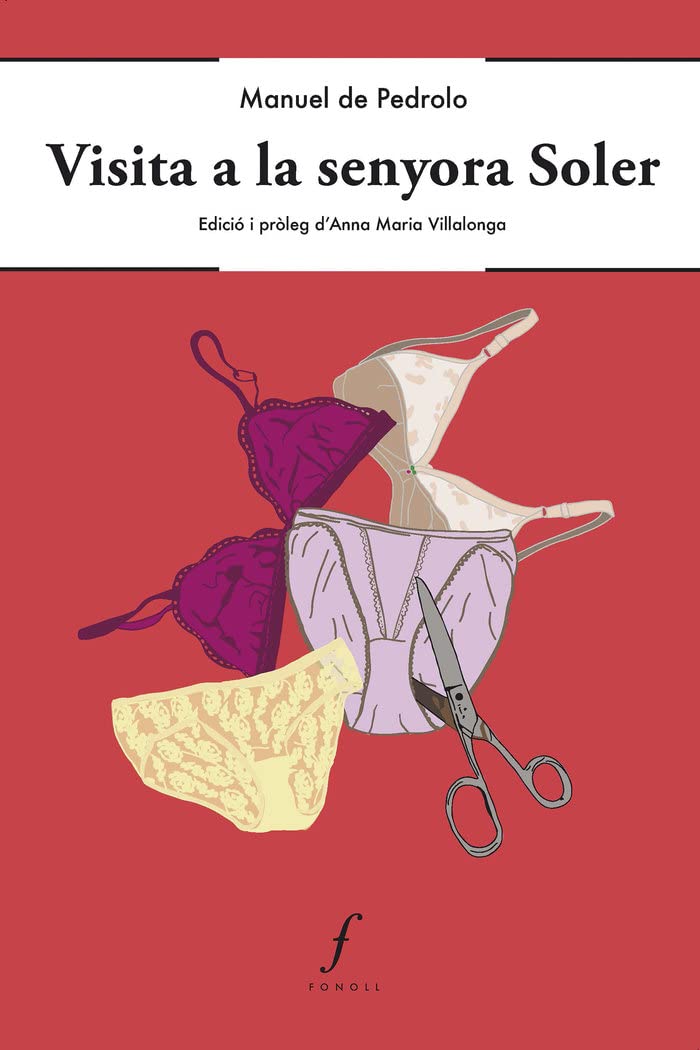 Visita a la senyora Soler (Biblioteca Global, Band 19) Contemporary literature