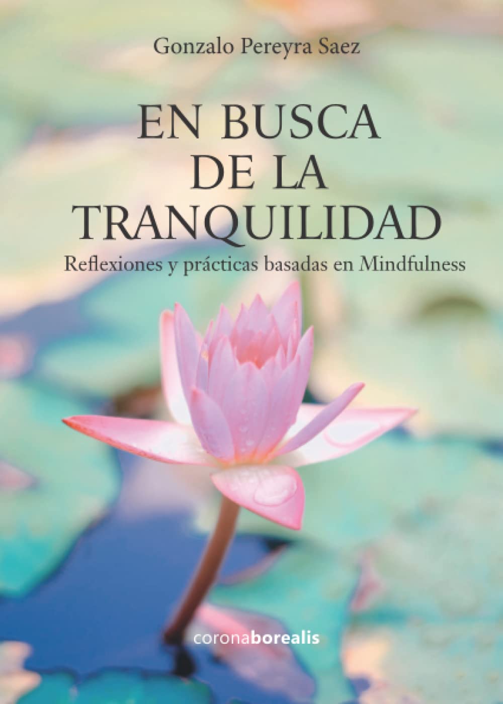 EN BUSCA DE LA TRANQUILIDAD. Reflexiones y prácticas basadas en Mindfulness book