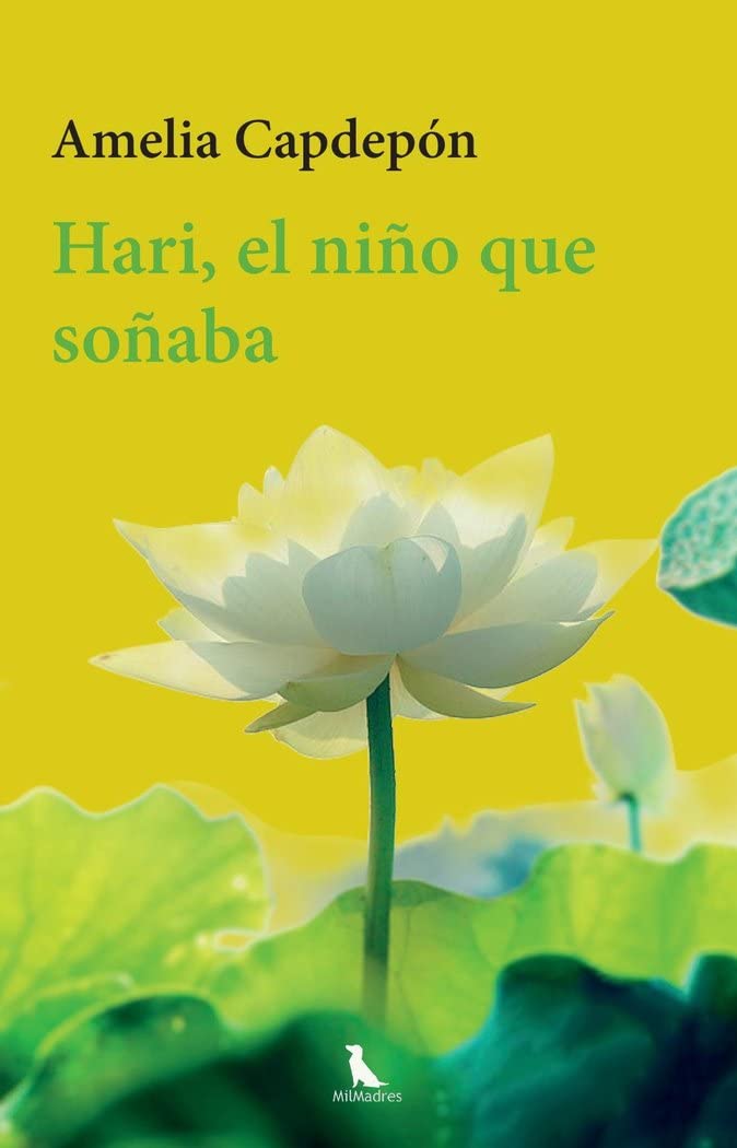 Hari, el niño que soñaba (General, Band 5) Contemporary literature