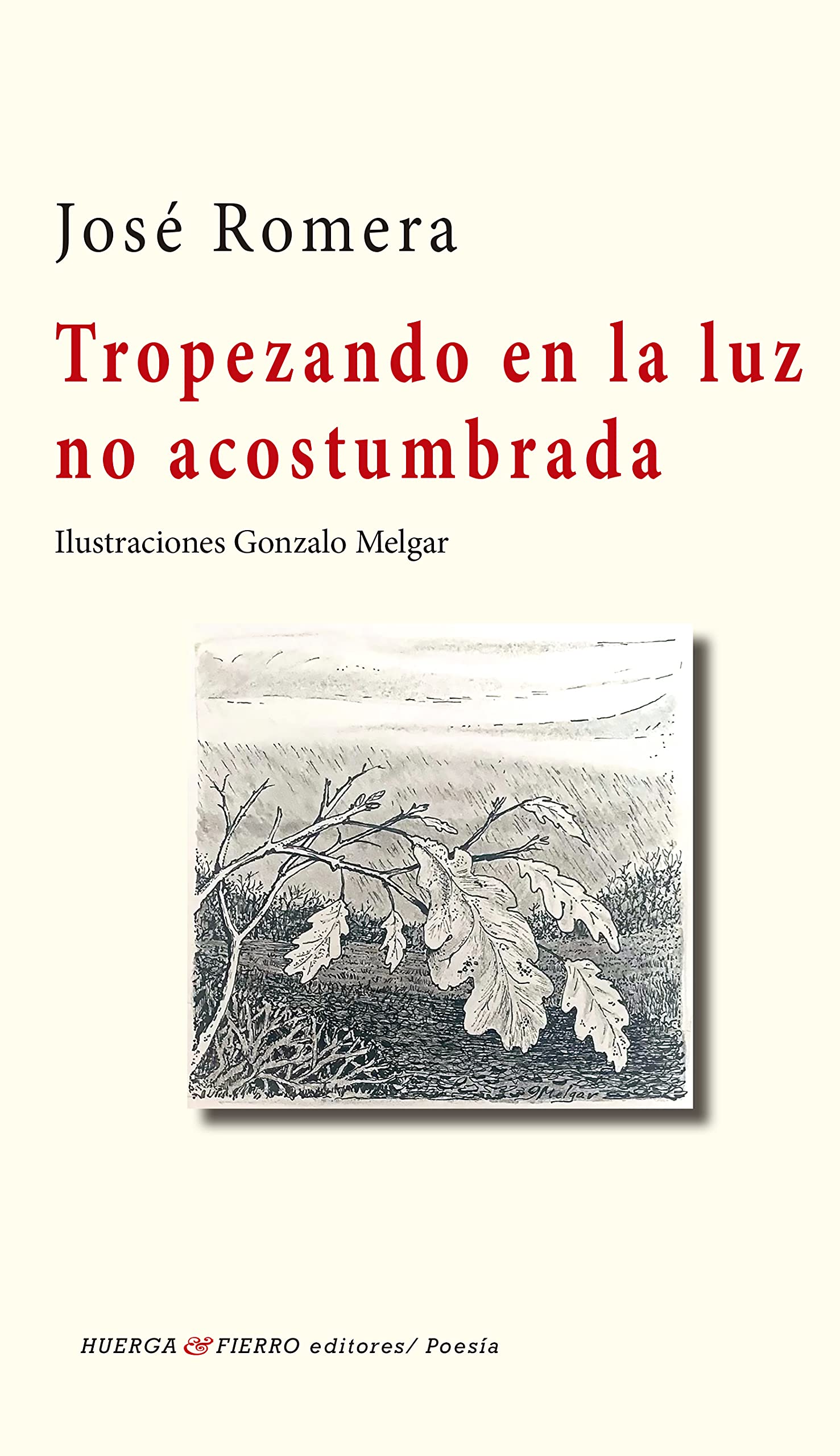 Tropezando en la luz no acostumbrada (Poesía, Band 0) Books