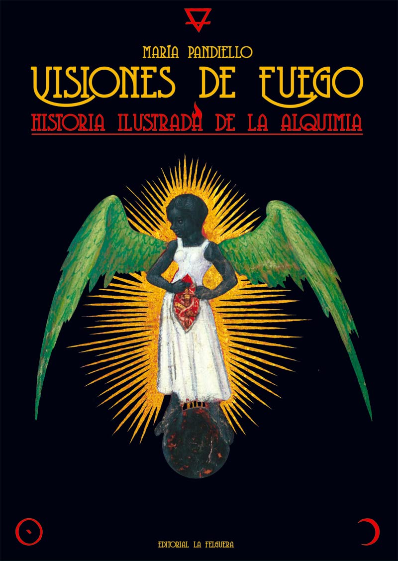 VISIONES DE FUEGO: HISTORIA ILUSTRADA DE LA ALQUIMIA book