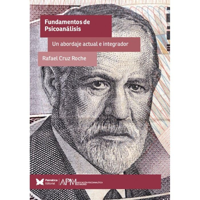 Fundamentos De Psicoanalisis: Un abordaje actual e integrador Psychology