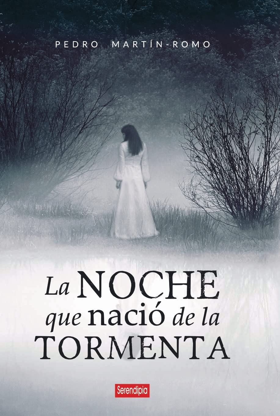 La noche que nació la tormenta Contemporary literature