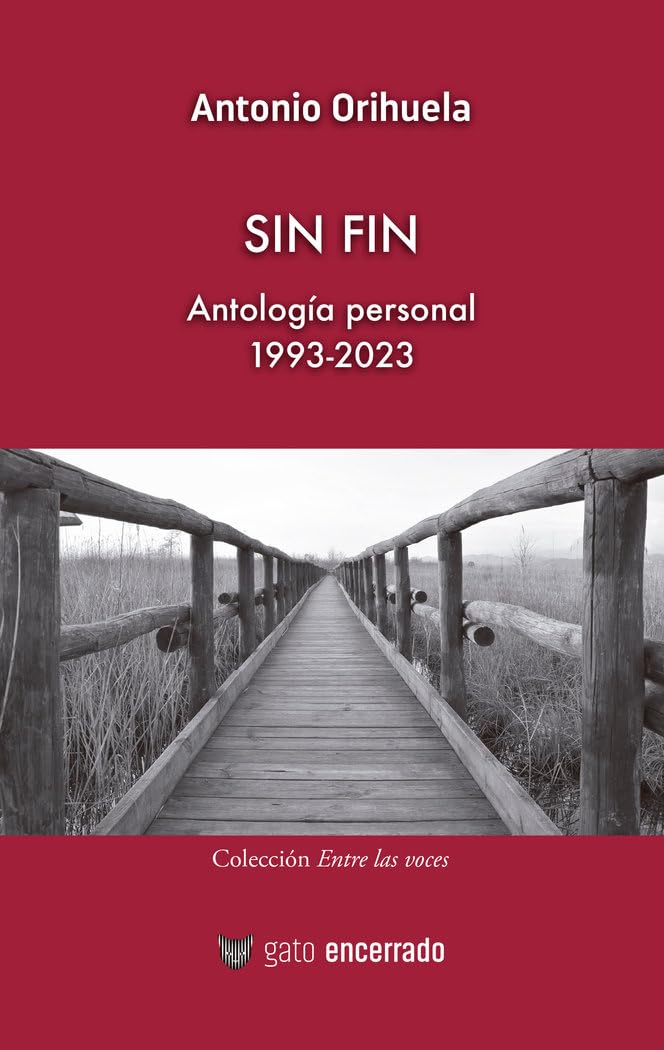 Sin fin - Antología personal 1993-2023: Antología personal 1993-2023 book