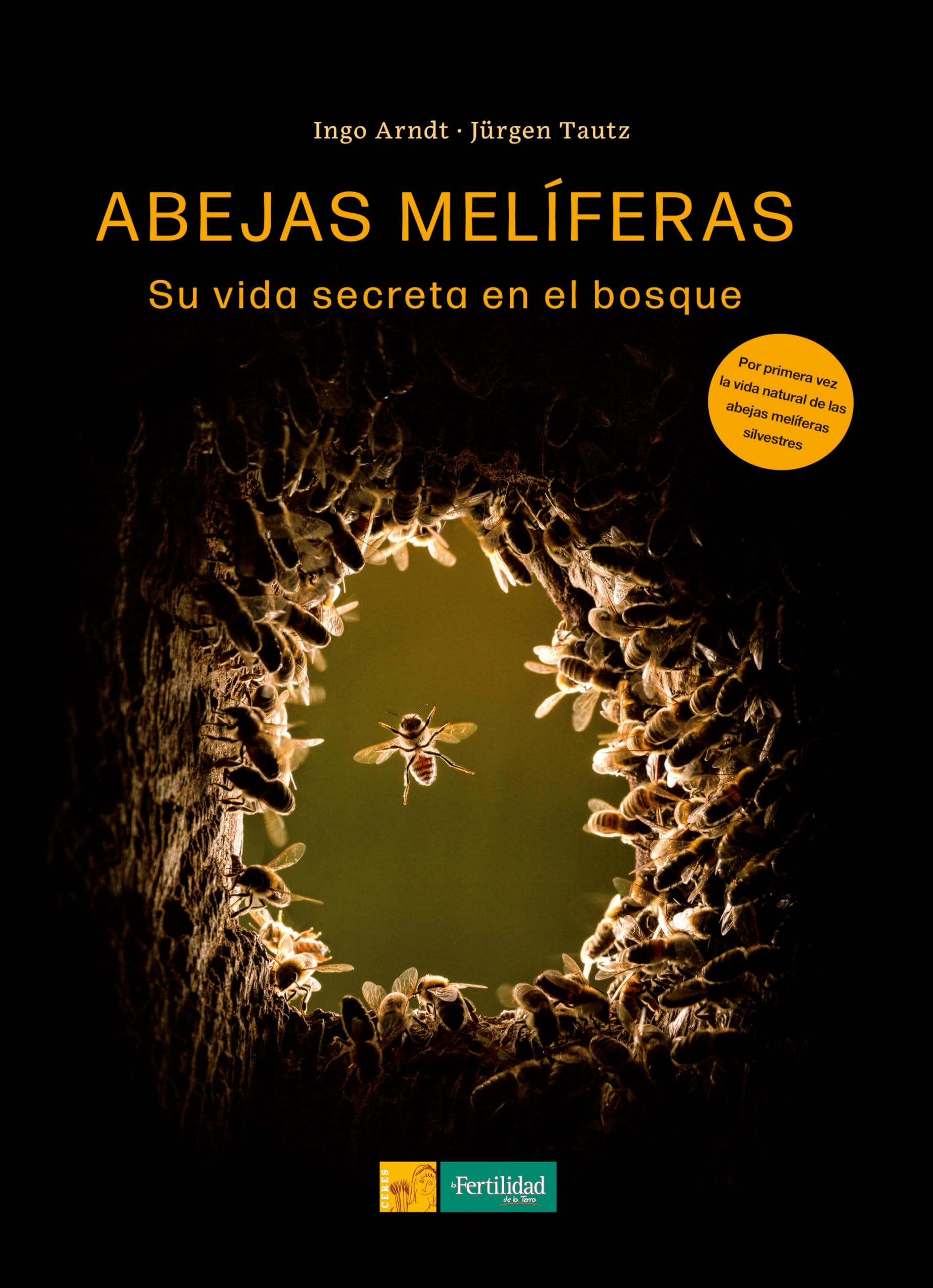 Abejas melíferas: Su vida secreta en el bosque Mathematics