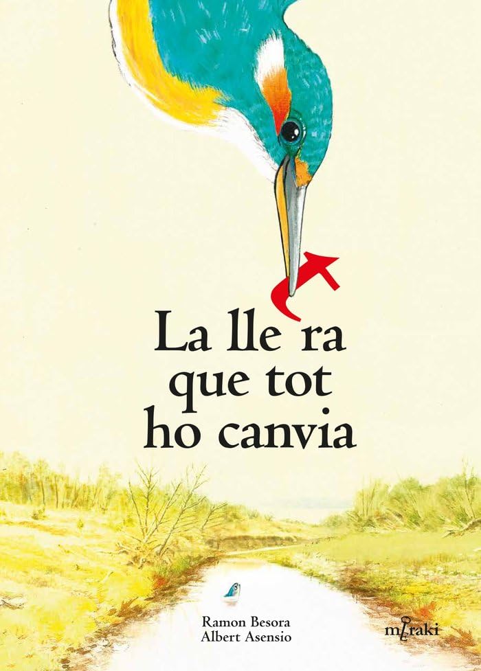 La lletra que tot ho canvia book
