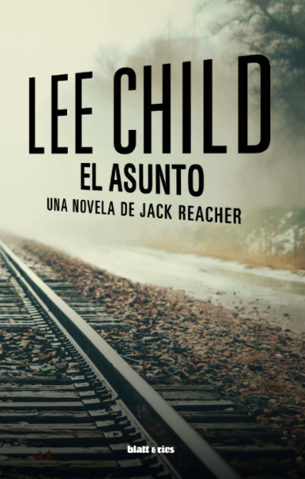 El asunto: Una novela de Jack Reacher Contemporary literature