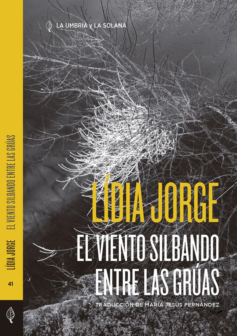 El viento silbando entre las grúas (Colección de autores portugueses, Band 41) Contemporary literature
