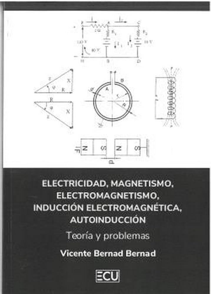 Electricidad, magnetismo, electromagnetismo, inducción electromagnética, autoinducción. Teoría y problemas (ECU, Band 1) Non-fiction
