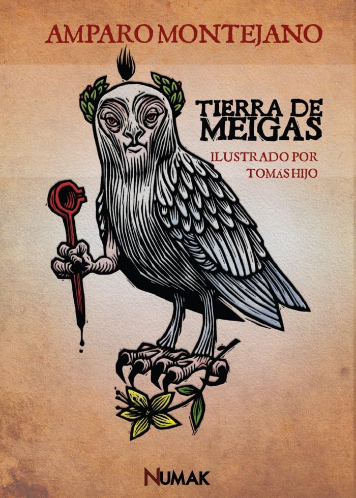 TIERRA DE MEIGAS: Cuentos de miedo, muerte y otros menesteres book
