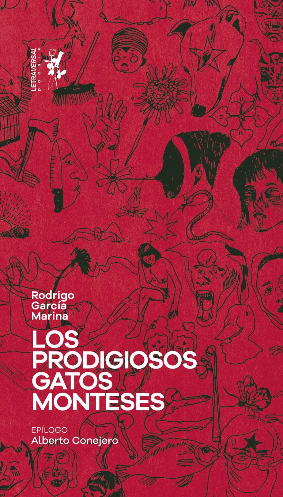 Los prodigiosos gatos monteses (Letra Bastarda, Band 21) Books