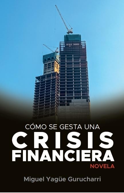 Cómo se gesta una crisis financiera: Novela book