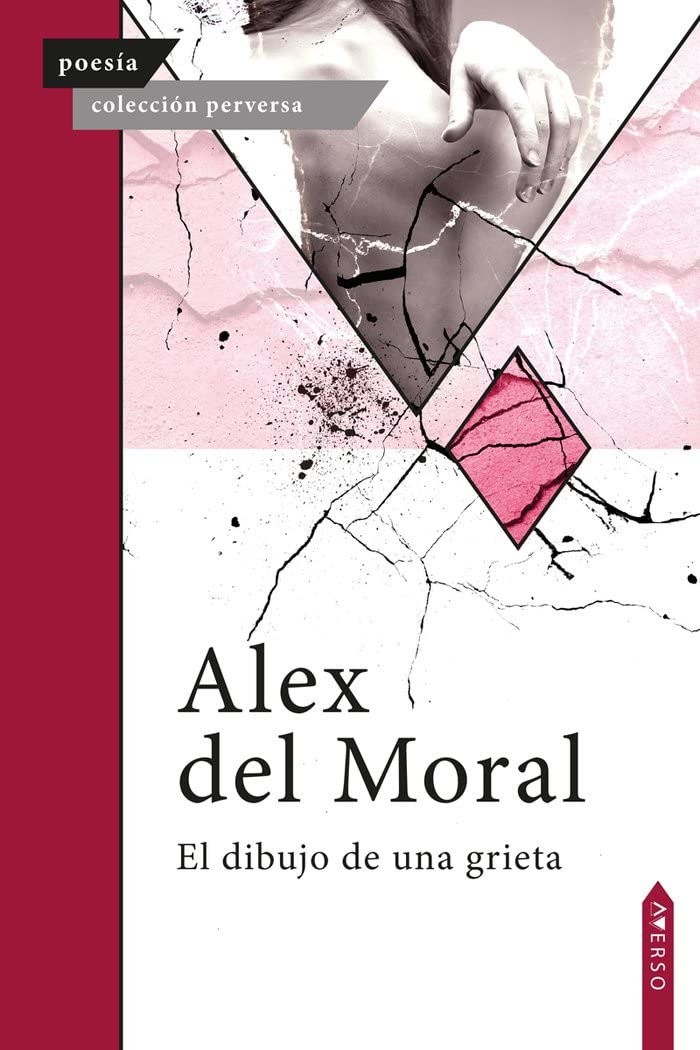 El dibujo de una grieta book
