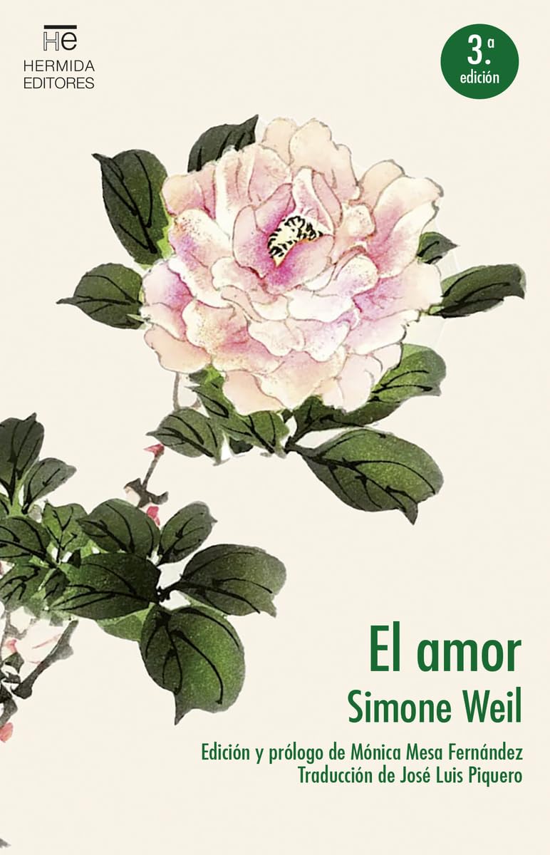 Amor Books