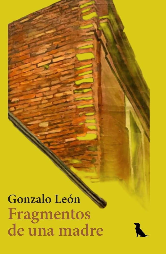 Fragmentos de una madre book