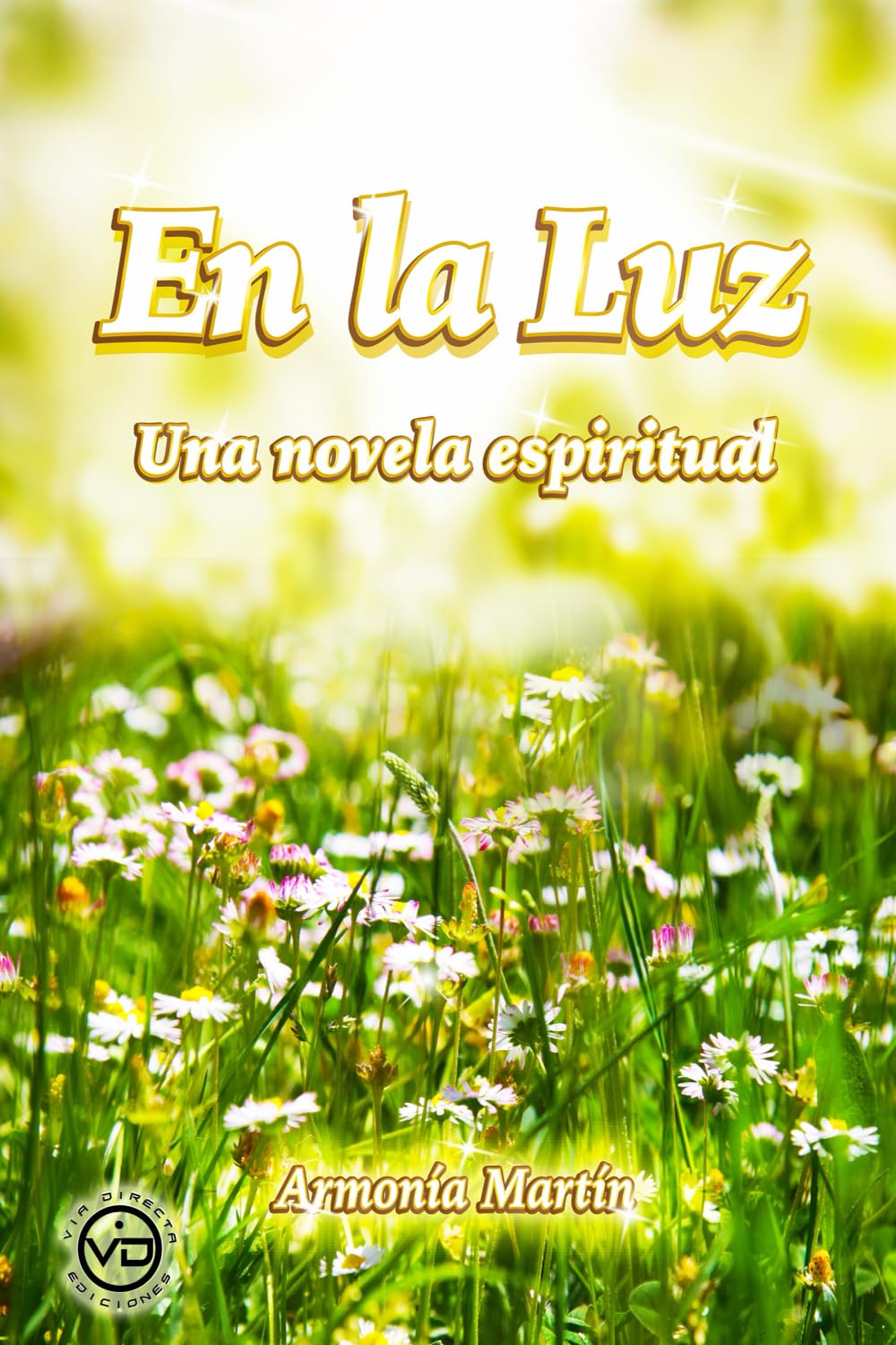 EN LA LUZ: Una Novela Espiritual Contemporary literature