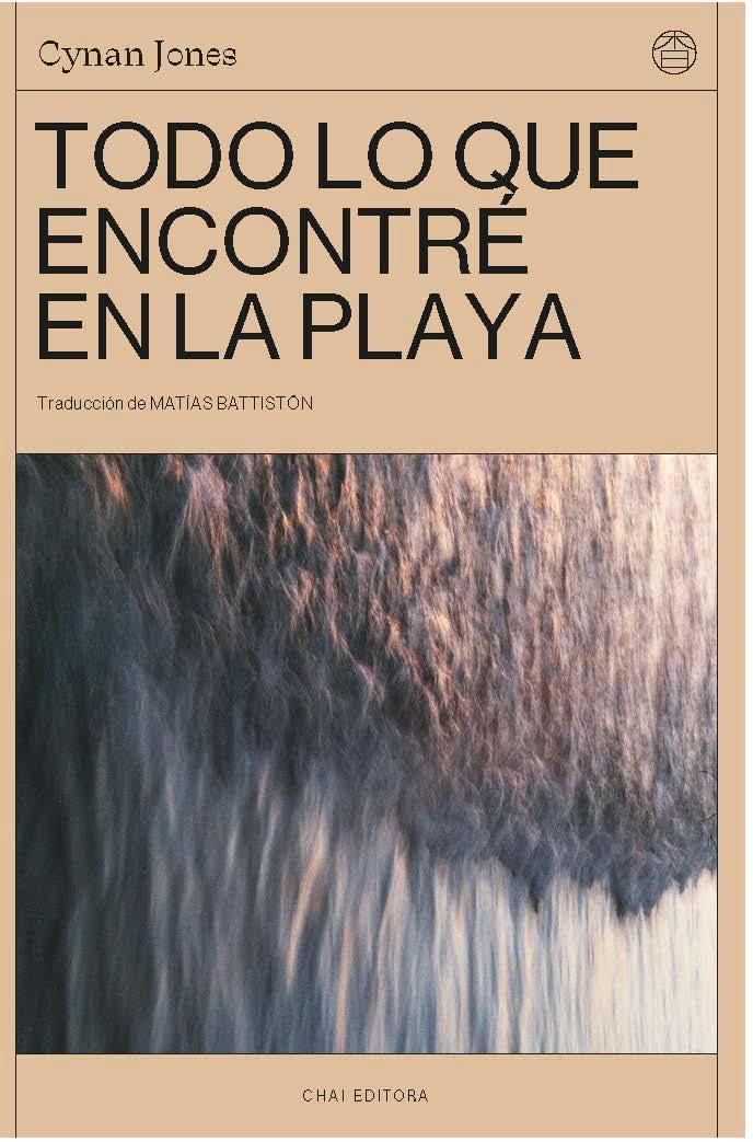 Todo lo que encontré en la playa Contemporary literature
