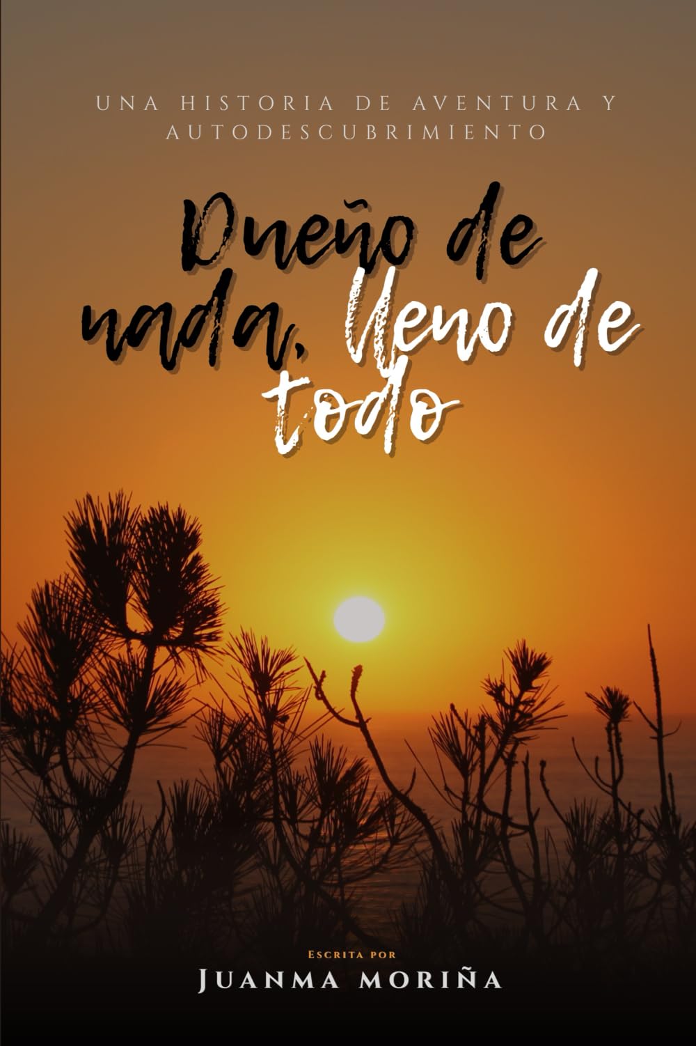 Dueño de nada, lleno de todo book