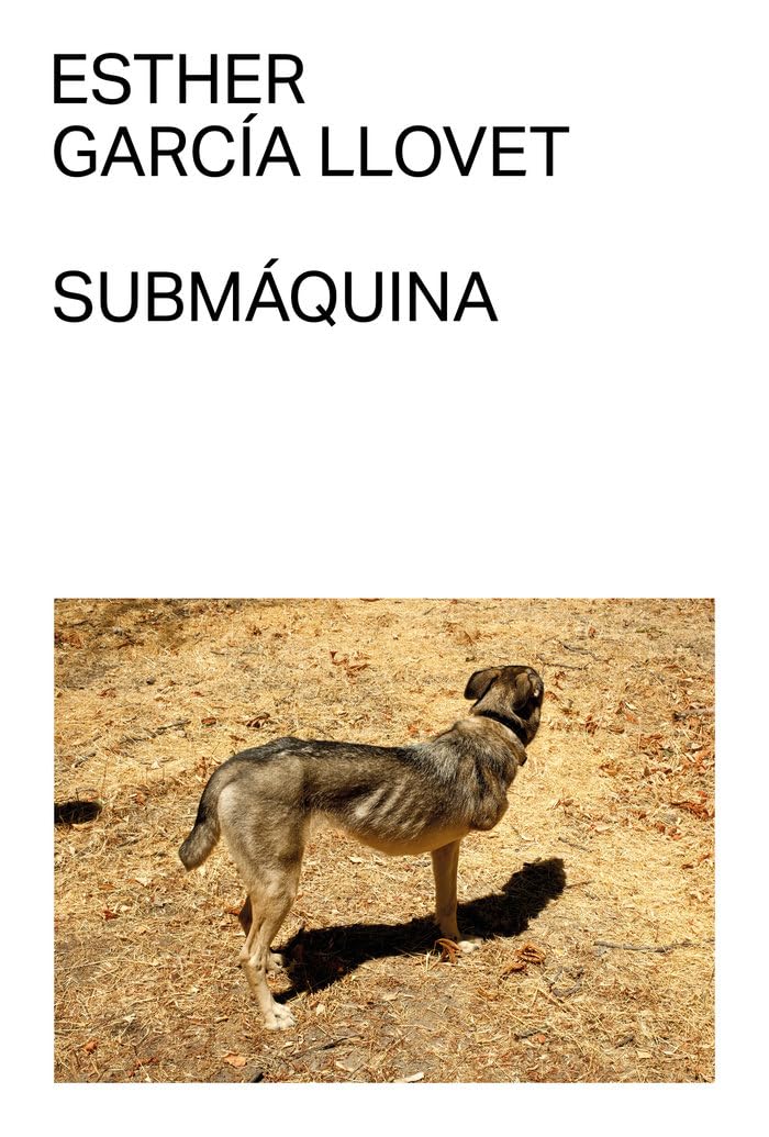 Submáquina Contemporary literature