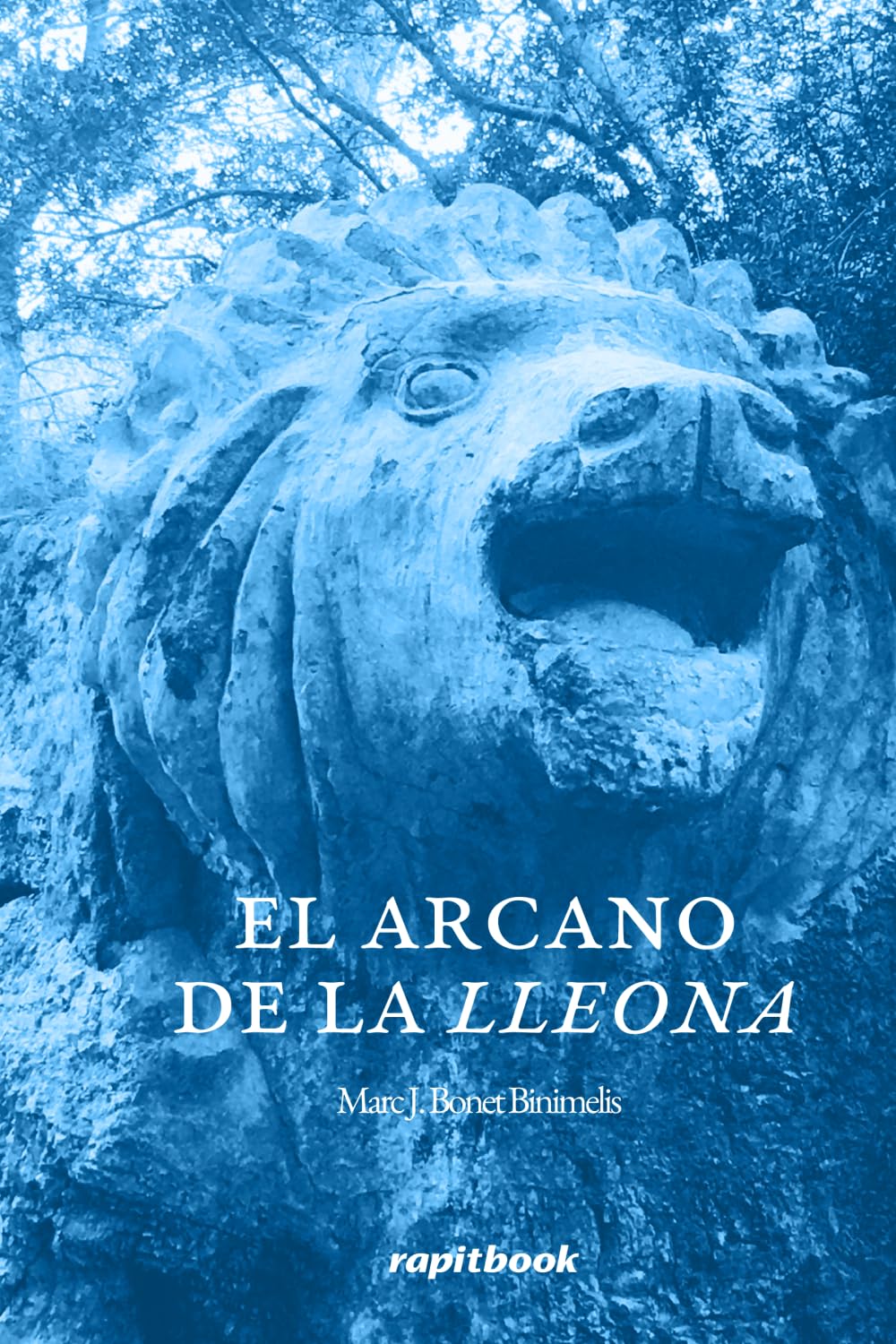 EL ARCANO DE LA LLEONA book