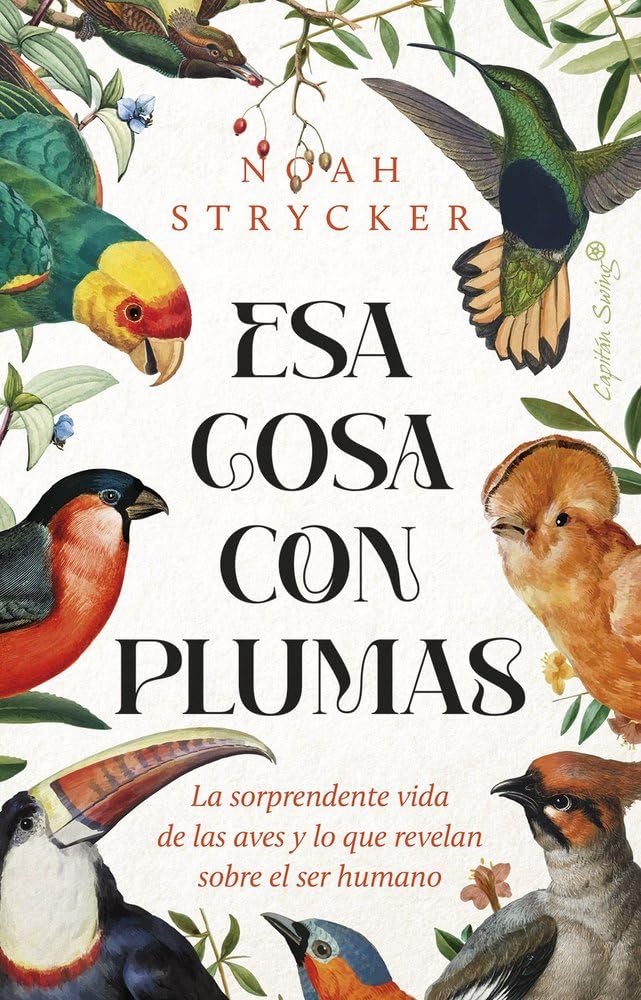 Esa cosa con plumas: La sorprendente vida de las aves y lo que revelan sobre el ser humano (Ensayo) Leisure, Home & Garden