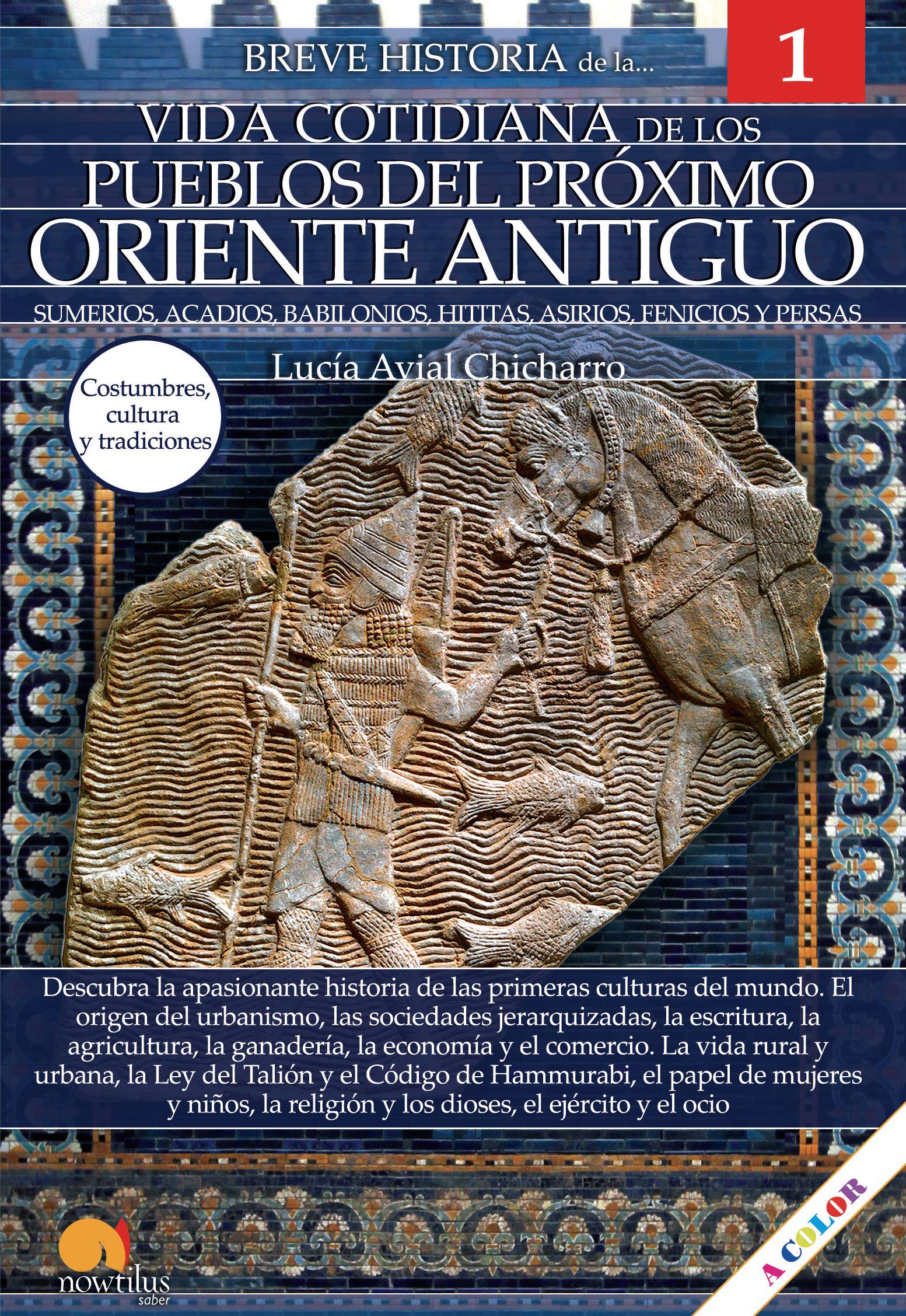 Breve historia de la vida cotidiana de los Pueblos del Próximo Oriente Antiguo: Sumerios, acadios, babilonios, hititas, asirios, fenicios y persas Books