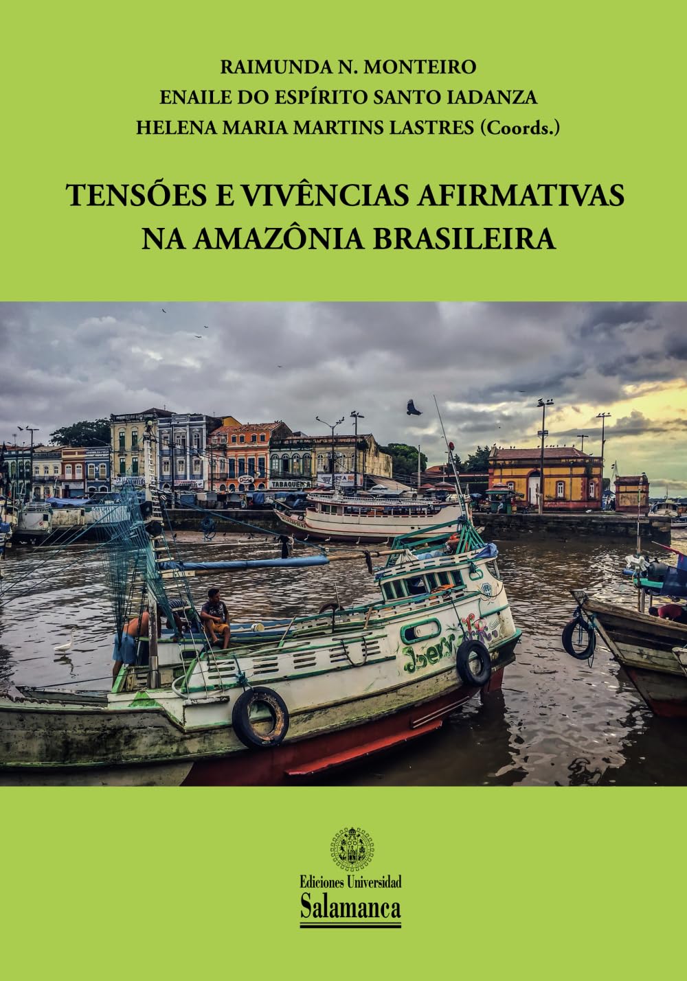 Tensões e vivências afirmativas na Amazônia brasileira (Biblioteca Brasil, Band 7) Books