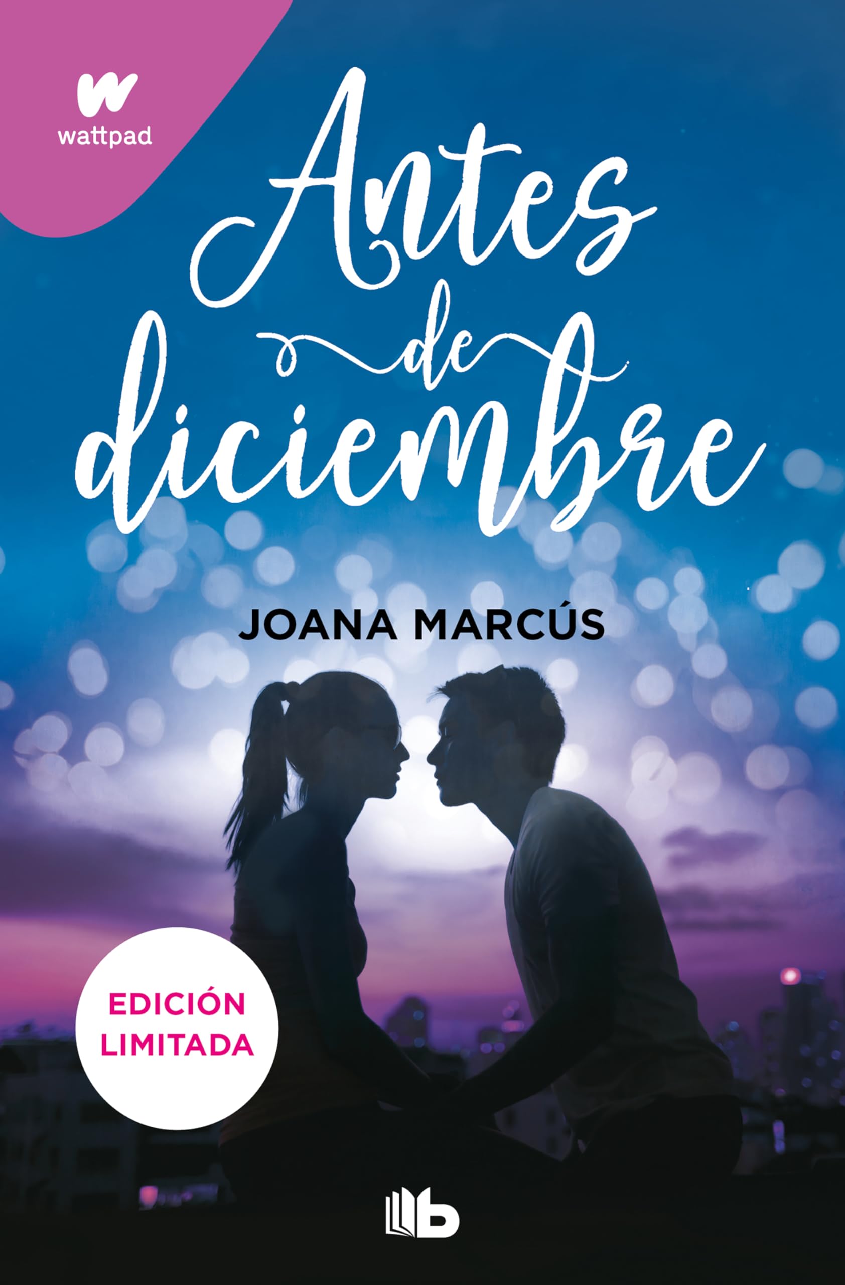 Antes de diciembre (edición revisada por la autora) (edición limitada) (Meses a tu lado 1) (Ficción, Band 1) Romance