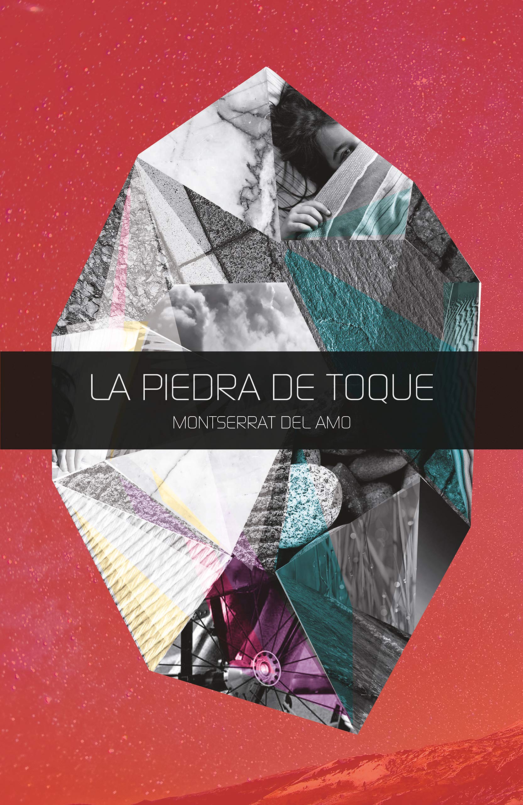 La piedra de toque book