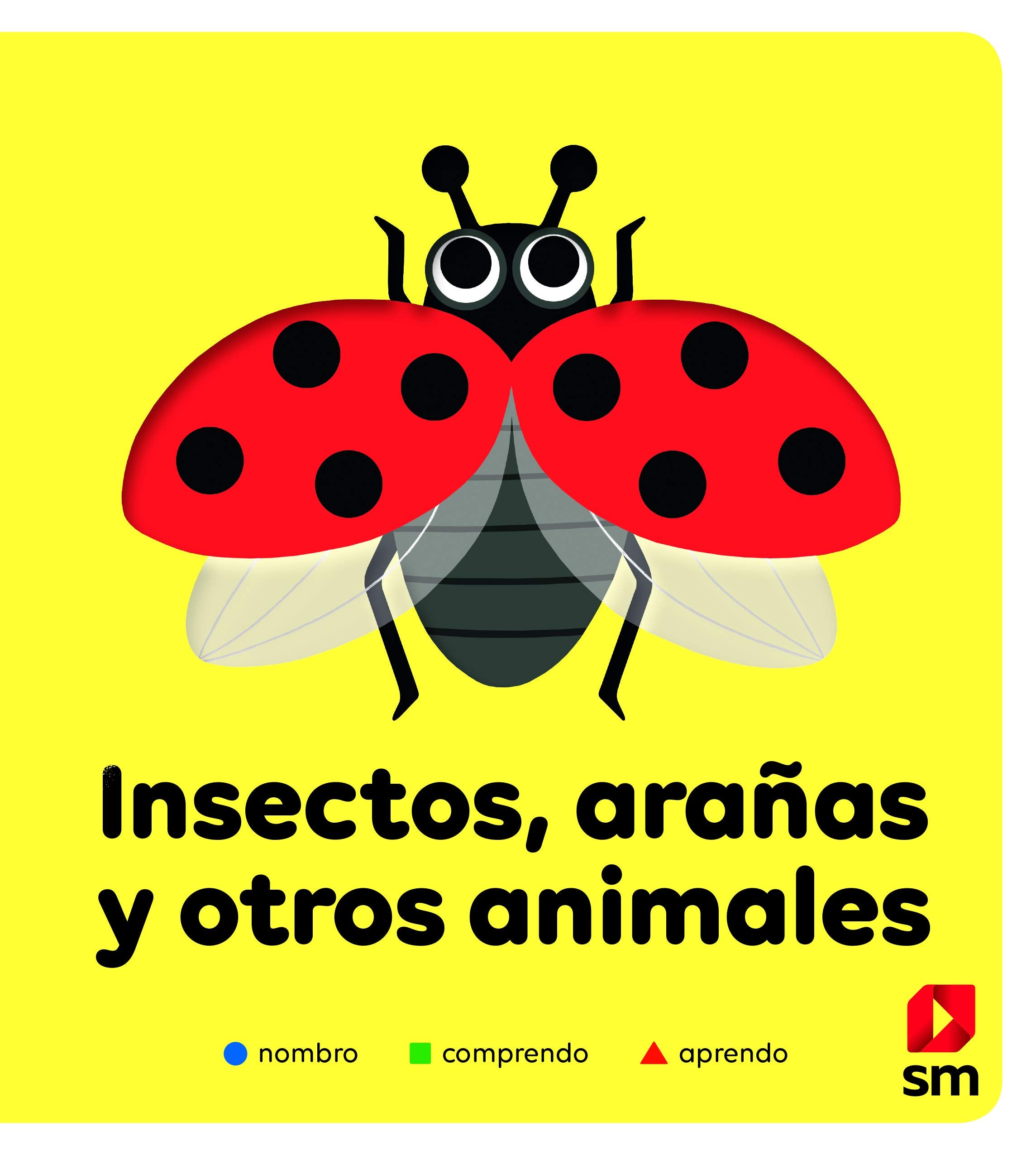Insectos, arañas y otros animales (Nombro, comprendo, aprendo) Non-fiction