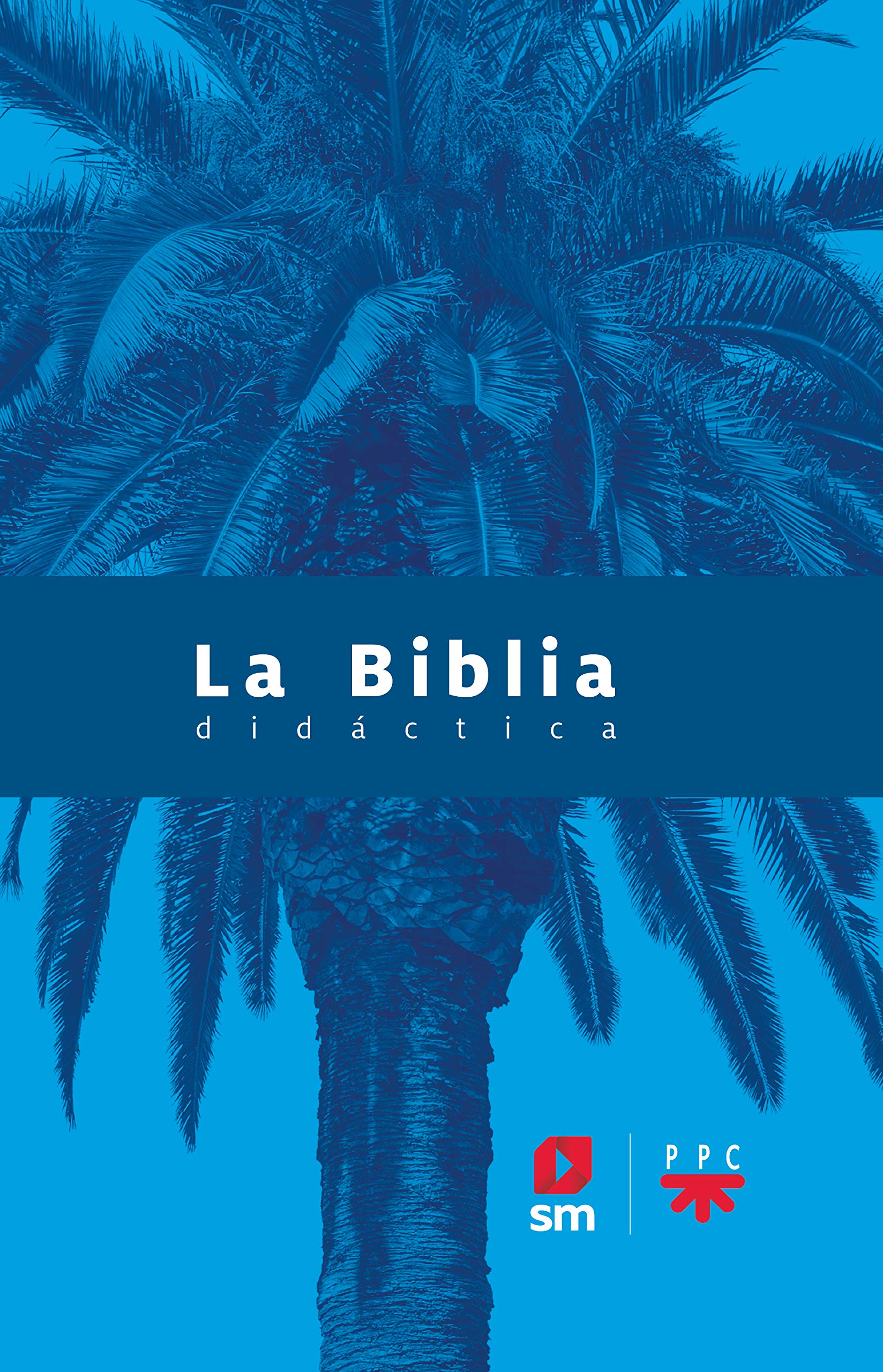 La biblia didáctica - CEE book