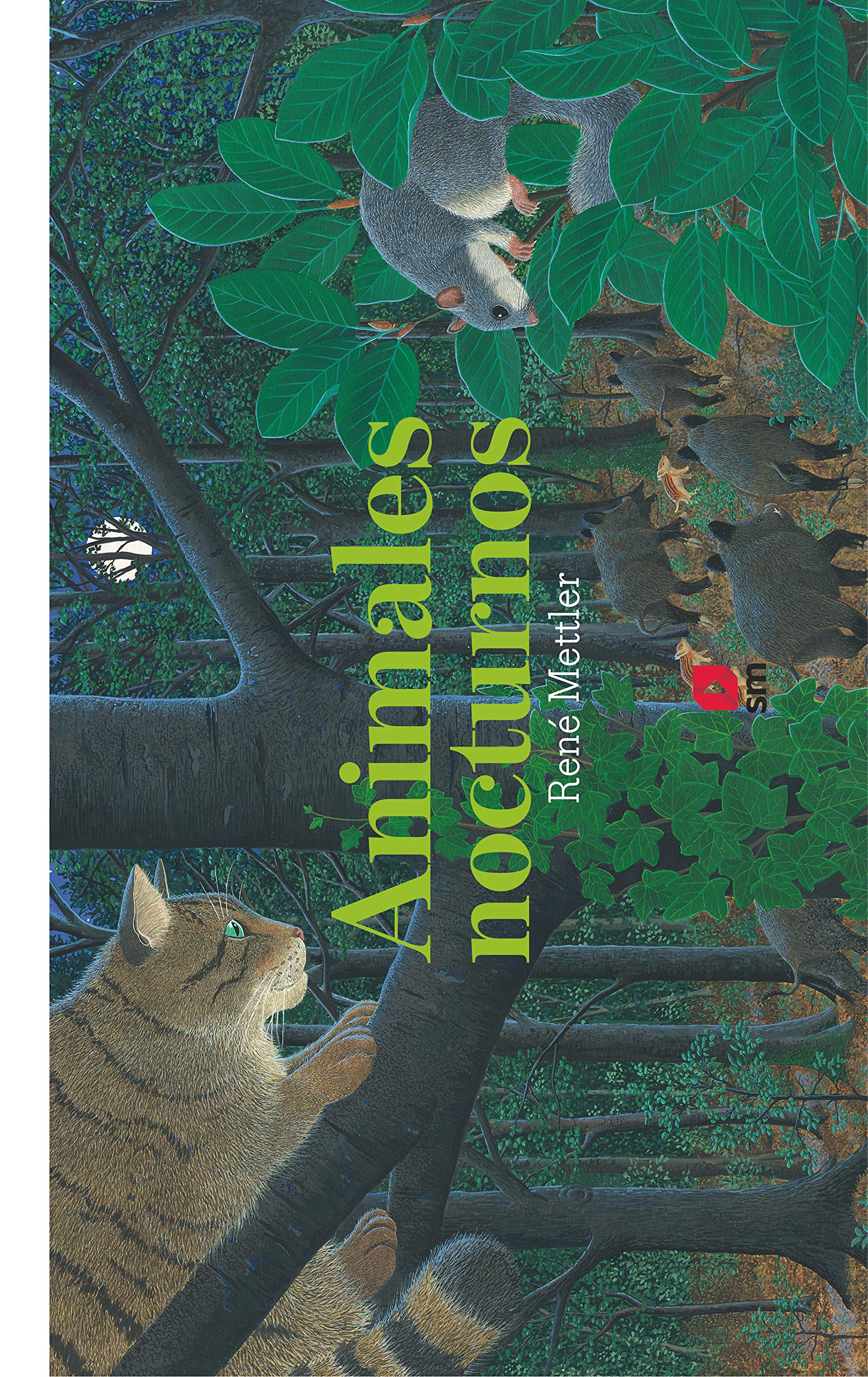 Los animales nocturnos book