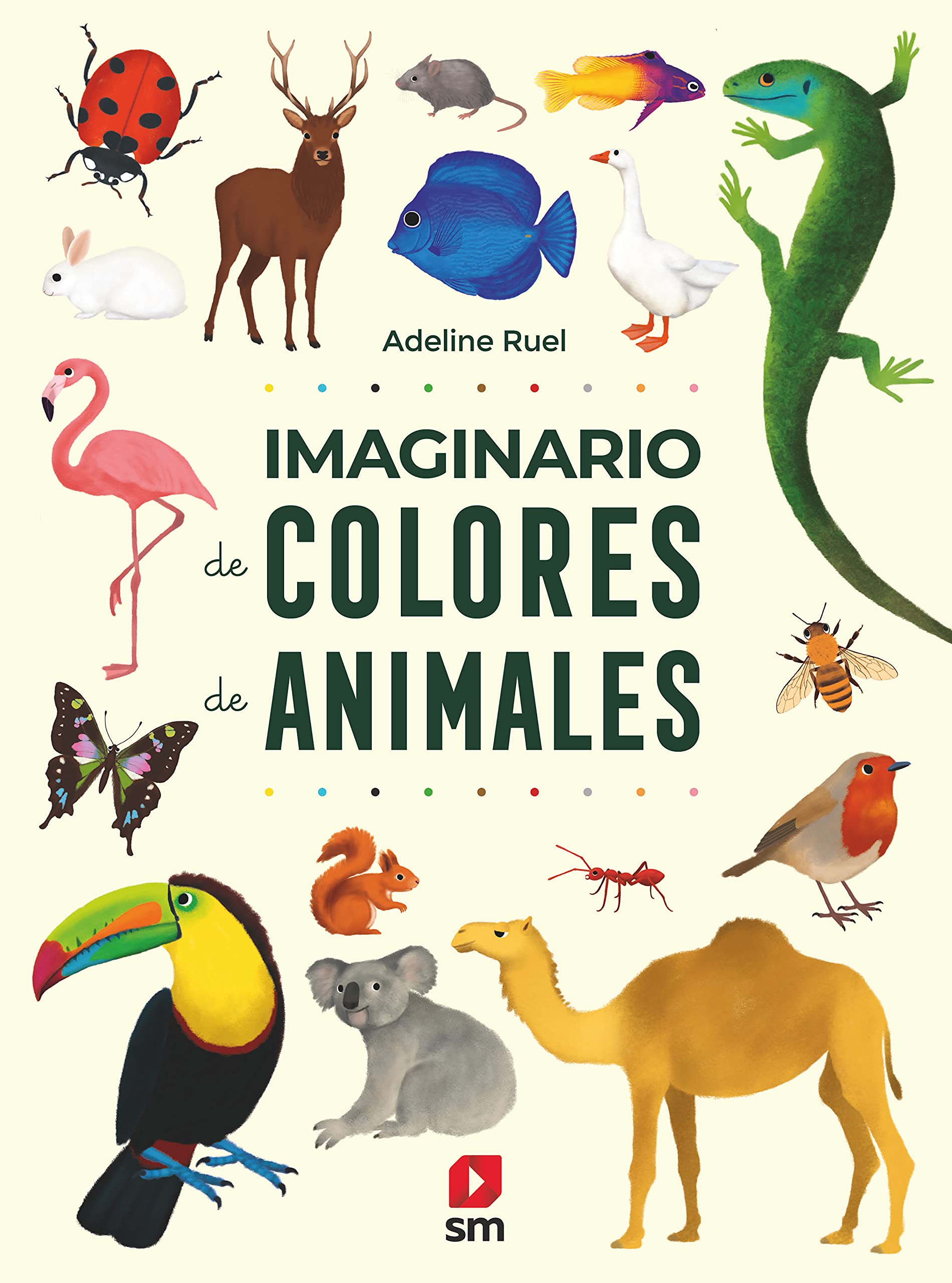 Imaginario de colores de animales Non-fiction