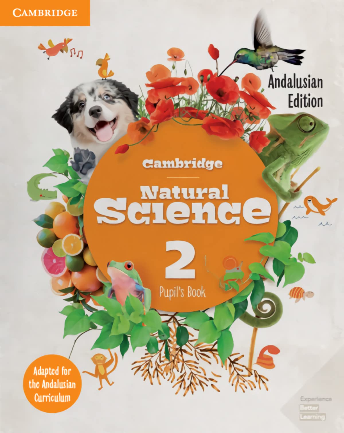 Cambridge Natural Science Level 2 Pupil's Book Andalucía Edition Mathematics