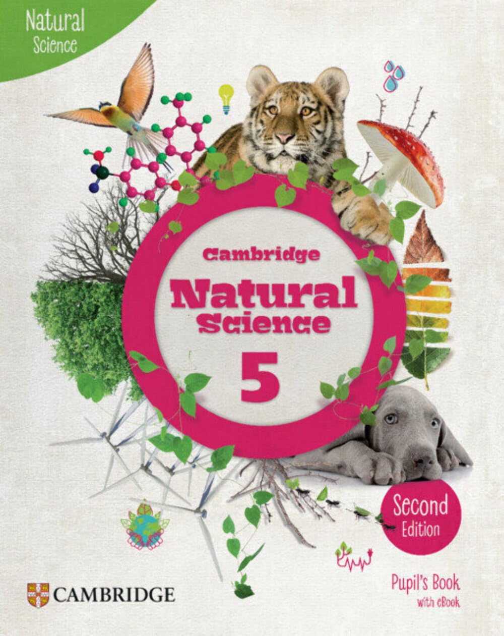 Cambridge Natural Science Level 5 Pupil's Book + Ebook book