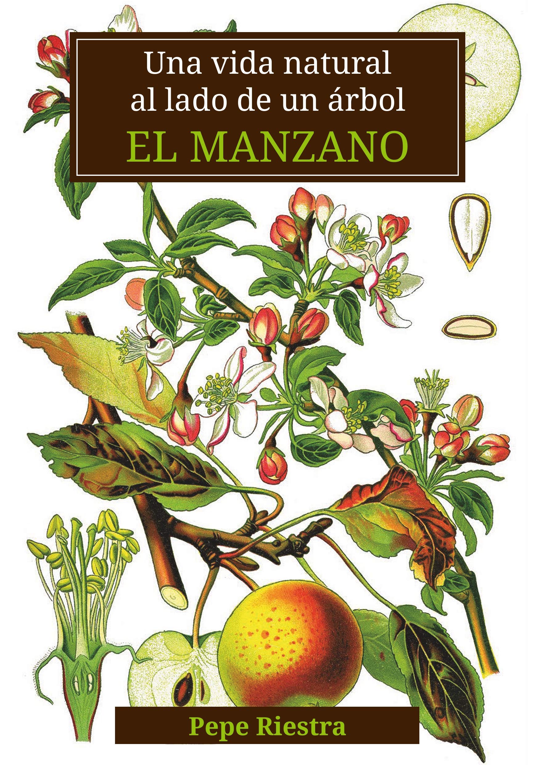 Una vida natural al lado de un árbol "El Manzano" Business & Technology