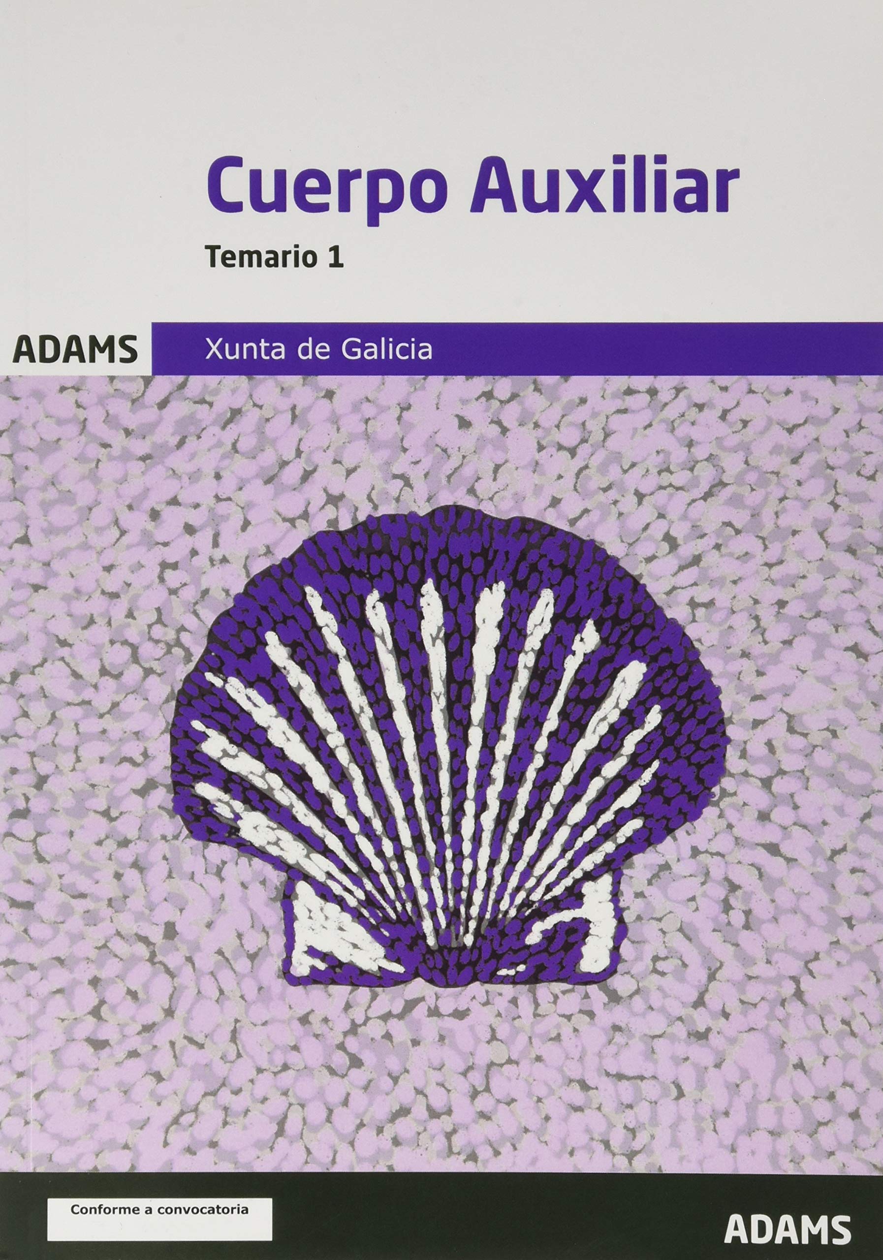 Temario 1 Cuerpo Auxiliar Xunta de Galicia book