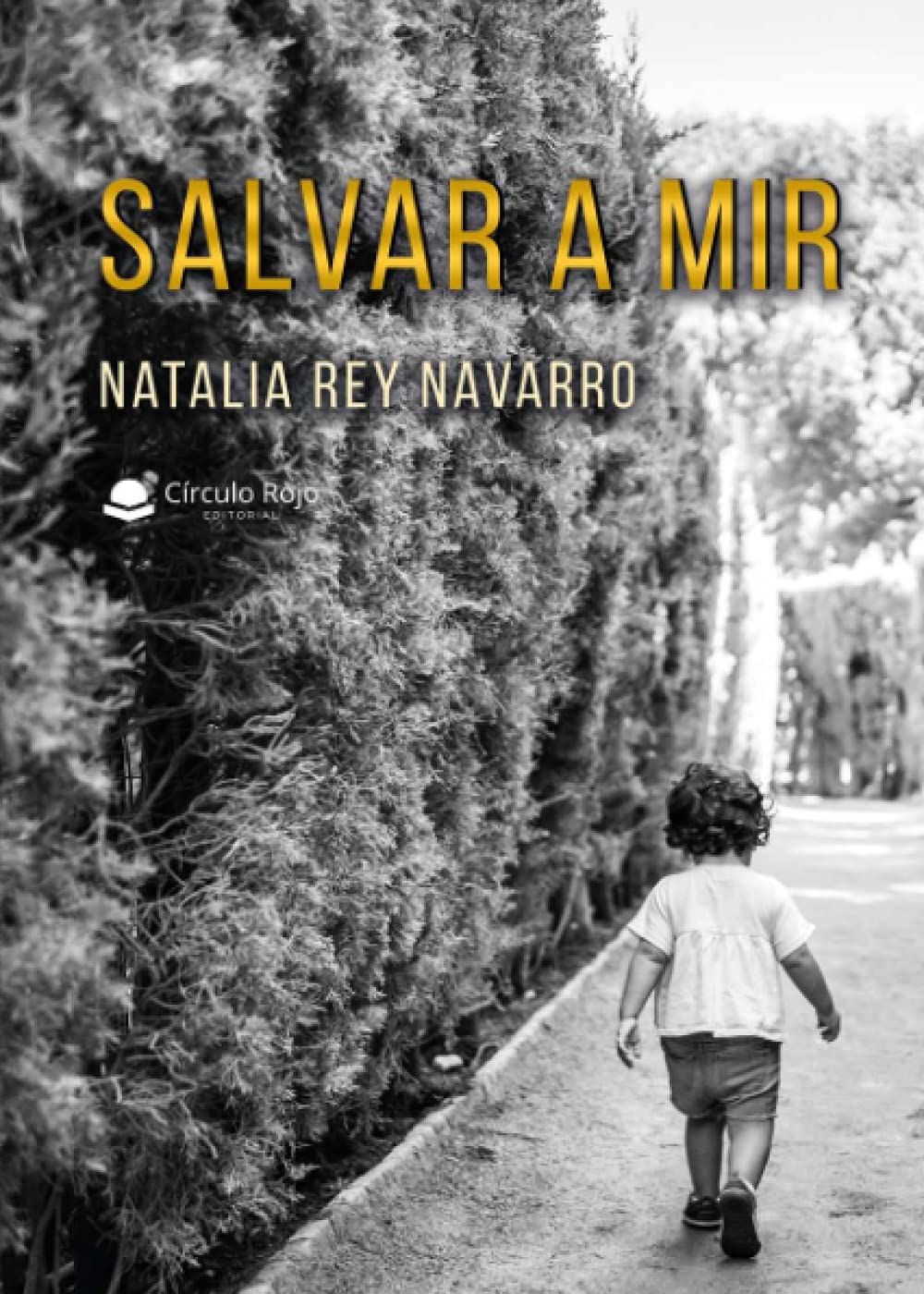 Salvar a Mir Contemporary literature