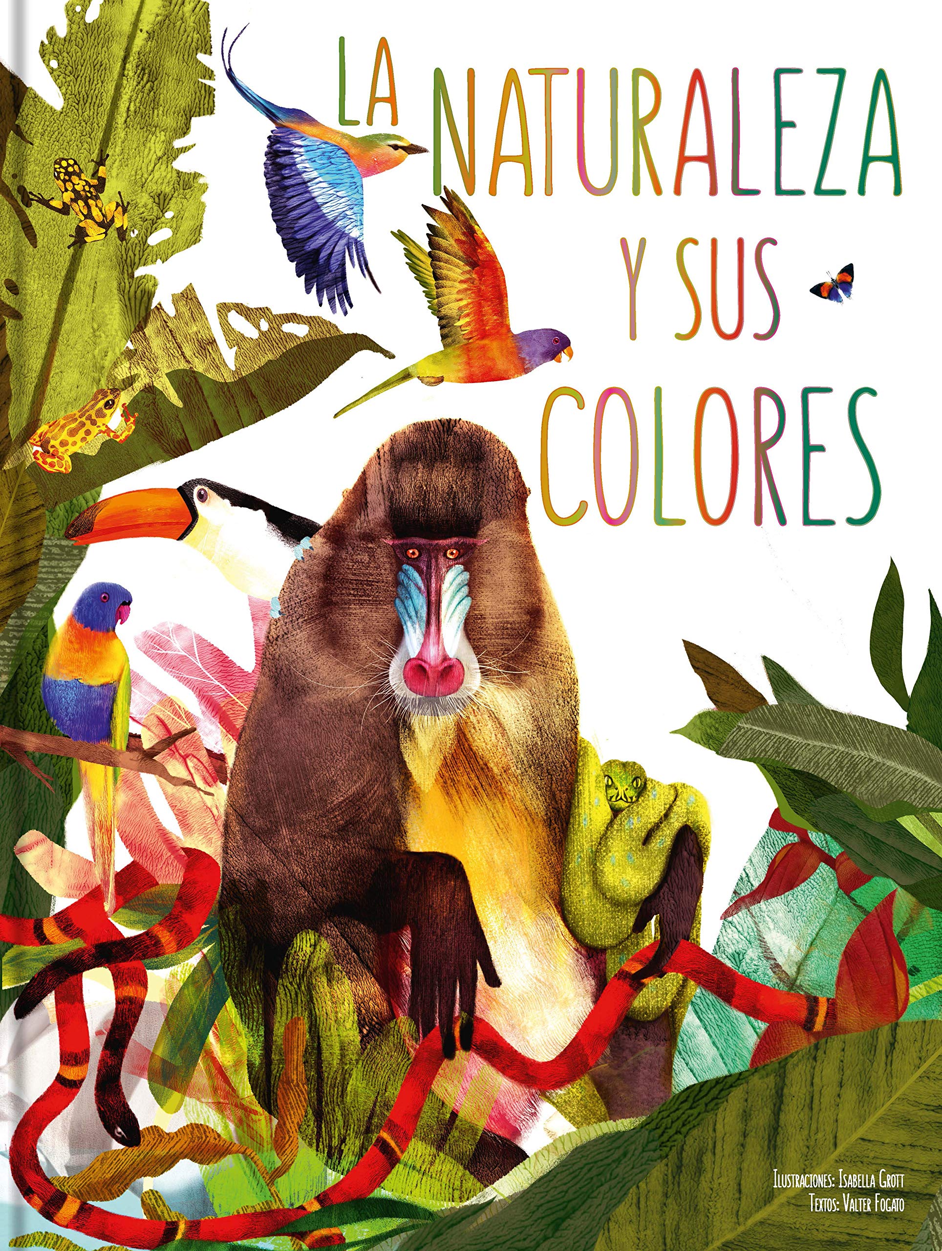 LA NATURALEZA Y SUS COLORES book