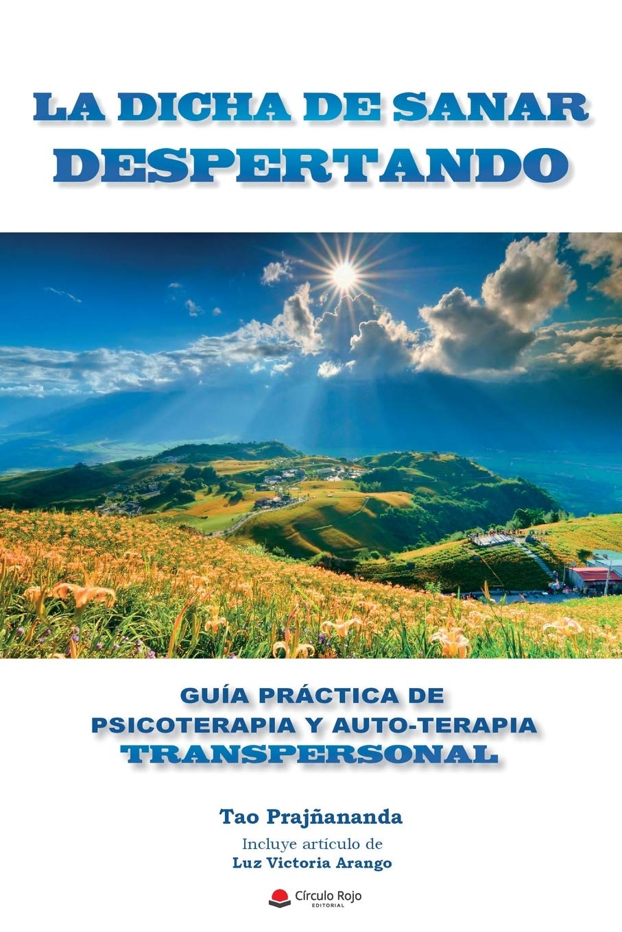 LA DICHA DE SANAR DESPERTANDO: Guia Práctica de Psicoterapia y Autoterapia Transpersonal: Guía práctica de psicoterapia y auto-terapia transpersonal Business, Finance & Career