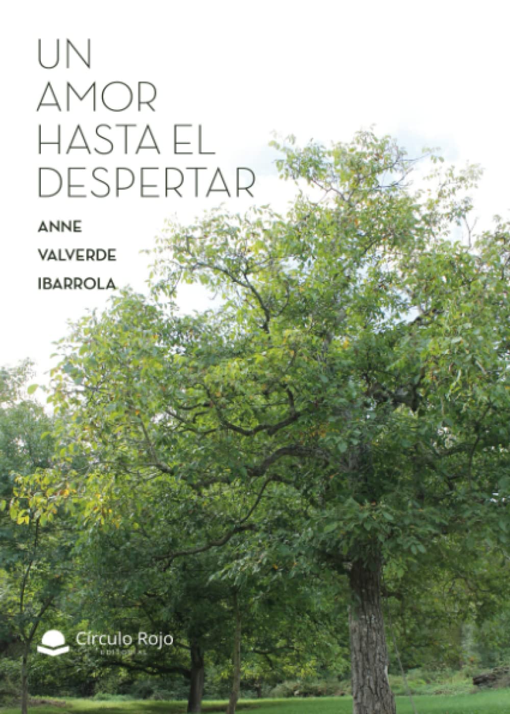 Un amor hasta el despertar Contemporary literature