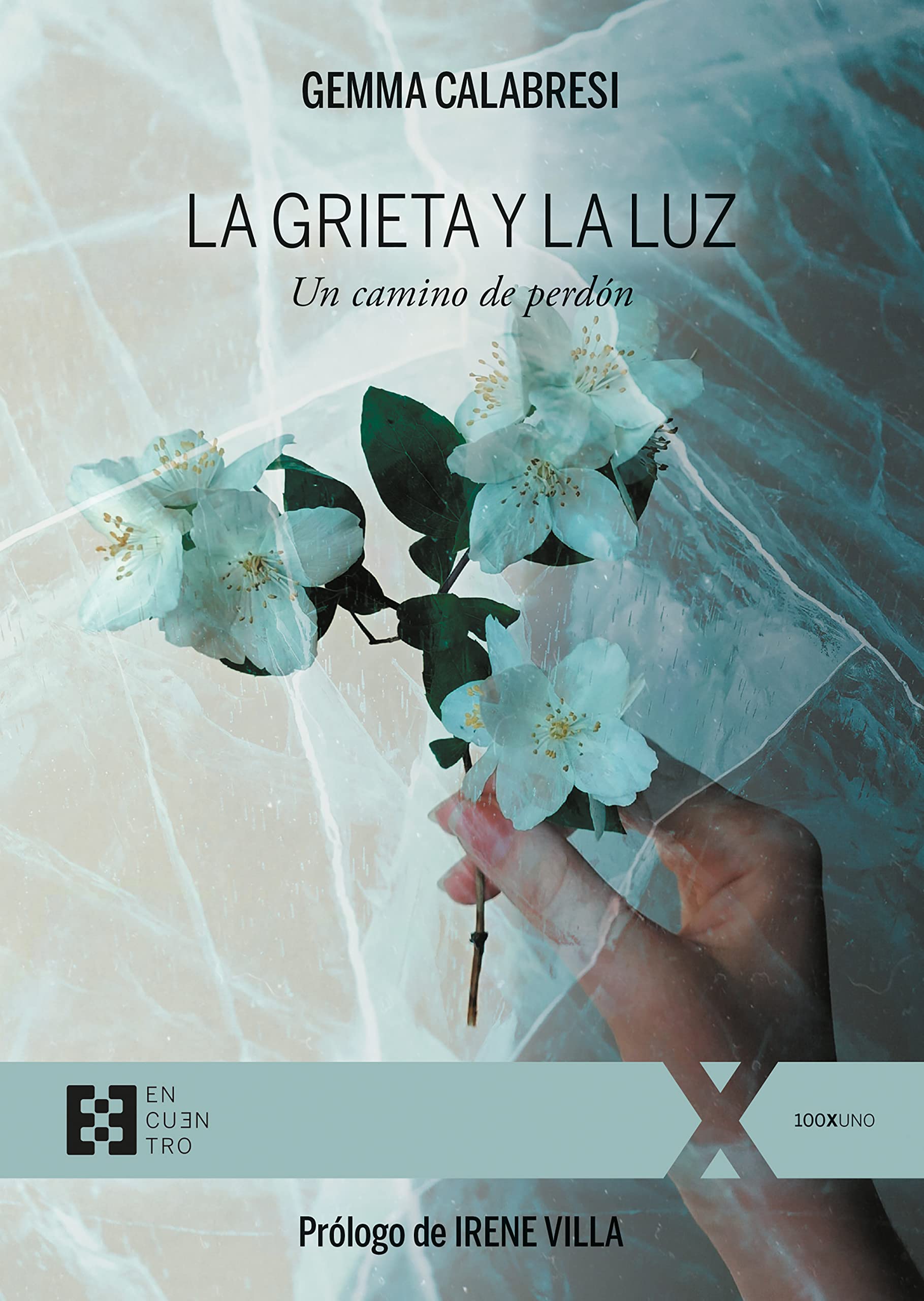 La grieta y la luz: Un camino de perdón Art & Literature