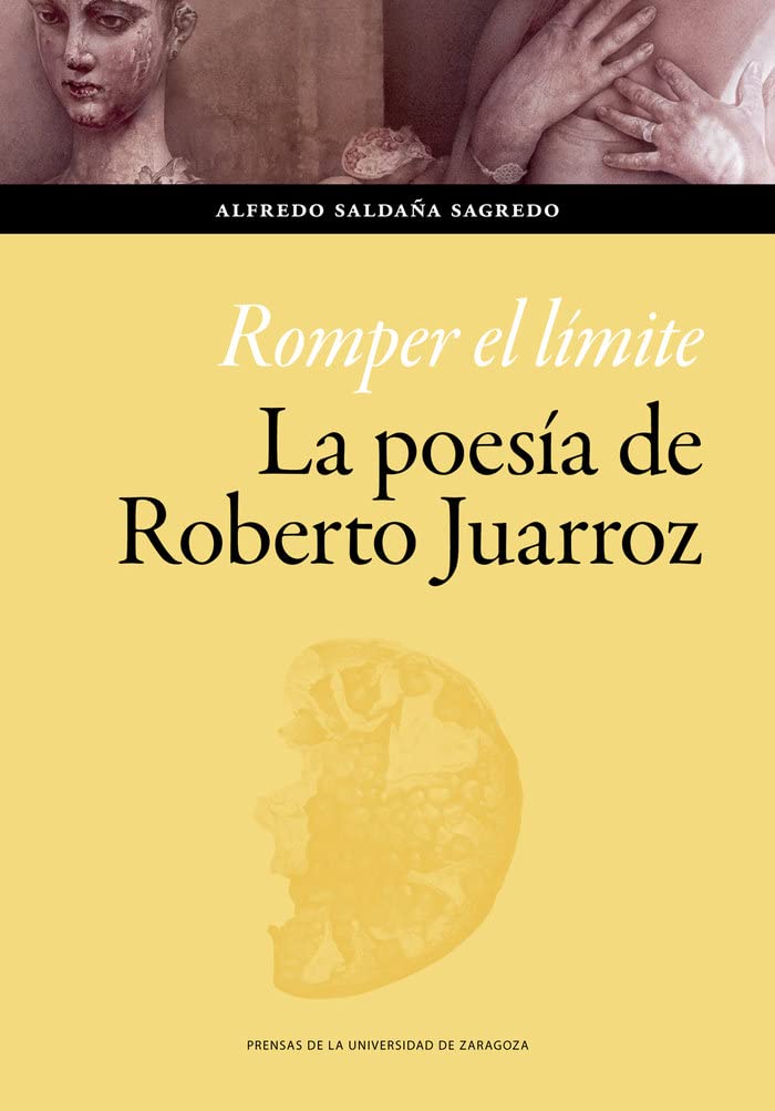 Romper el límite. La poesía de Roberto Juarroz (Humanidades, Band 172) Poetry