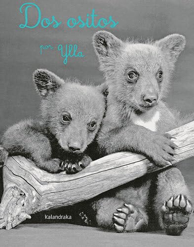 Dos ositos (Clásicos contemporáneos) Novels & Short Stories
